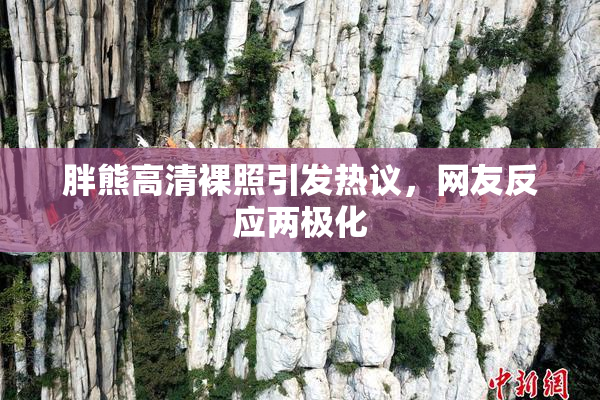 胖熊高清裸照引发热议，网友反应两极化