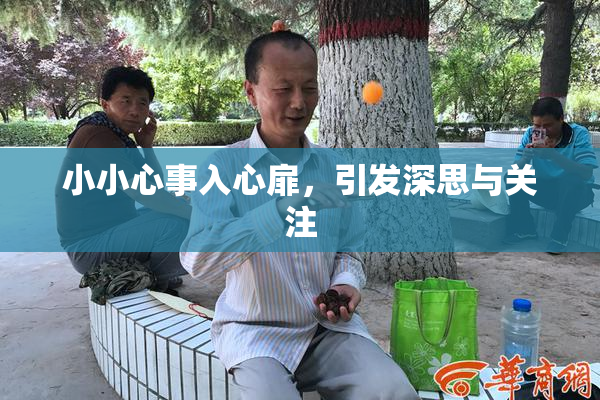 小小心事入心扉，引发深思与关注