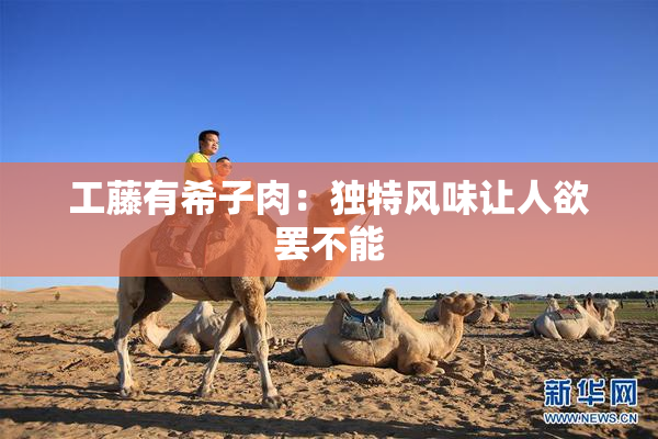 工藤有希子肉：独特风味让人欲罢不能