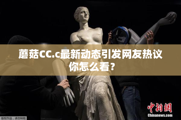 蘑菇CC.c最新动态引发网友热议 你怎么看？