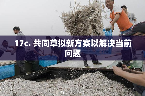 17c. 共同草拟新方案以解决当前问题