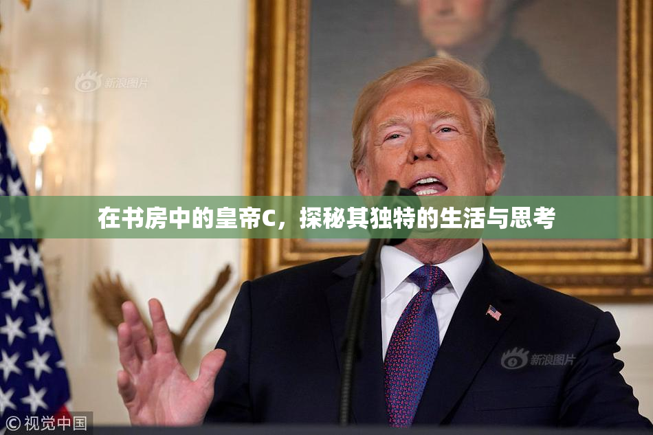 在书房中的皇帝C，探秘其独特的生活与思考