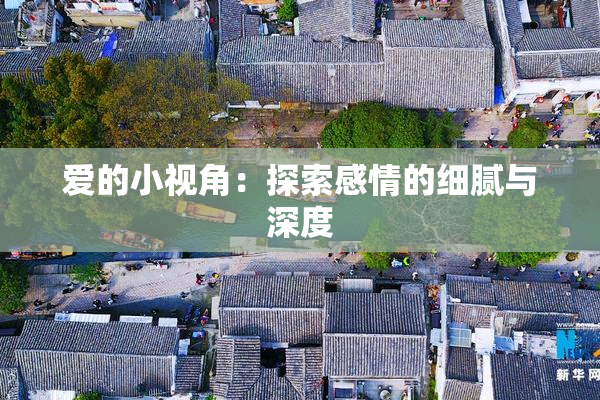 爱的小视角：探索感情的细腻与深度