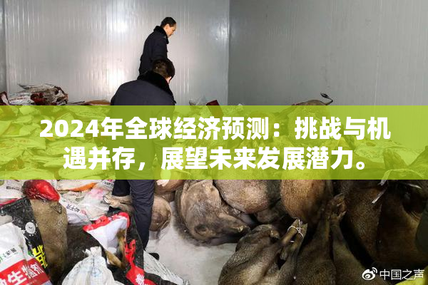 2024年全球经济预测：挑战与机遇并存，展望未来发展潜力。