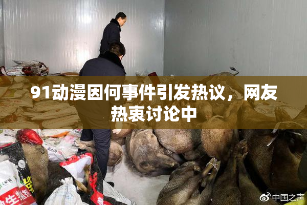 91动漫因何事件引发热议，网友热衷讨论中
