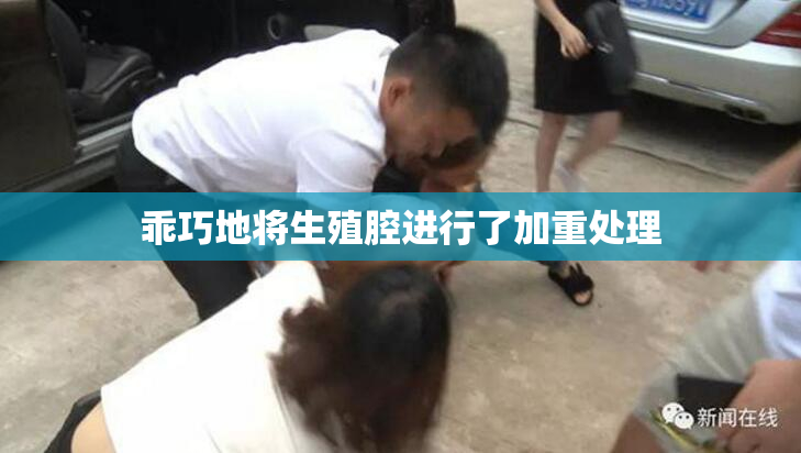 乖巧地将生殖腔进行了加重处理