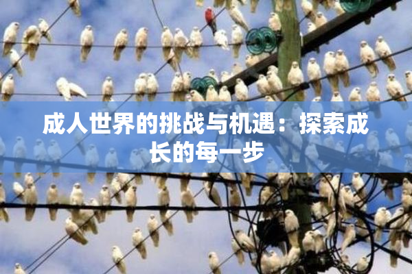 成人世界的挑战与机遇：探索成长的每一步