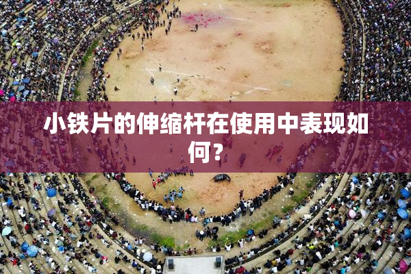 小铁片的伸缩杆在使用中表现如何？