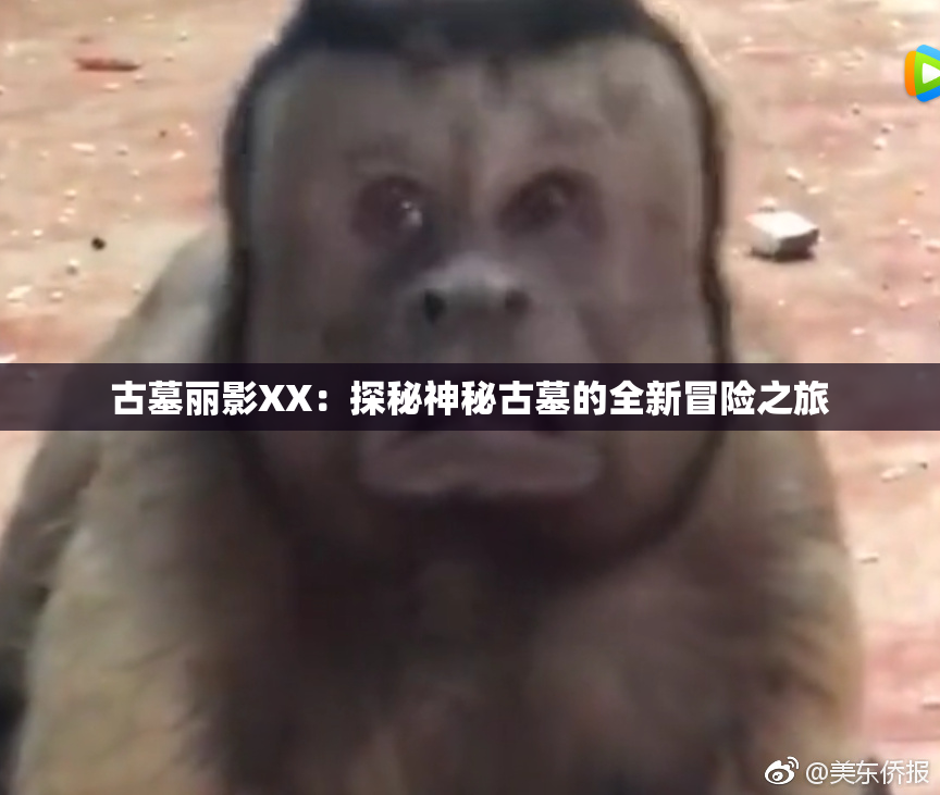 古墓丽影XX：探秘神秘古墓的全新冒险之旅