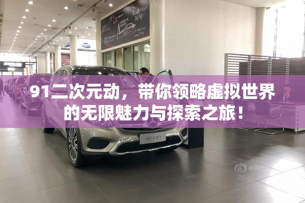 91二次元动，带你领略虚拟世界的无限魅力与探索之旅！