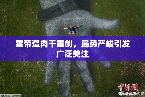 雪帝遭肉干重创，局势严峻引发广泛关注