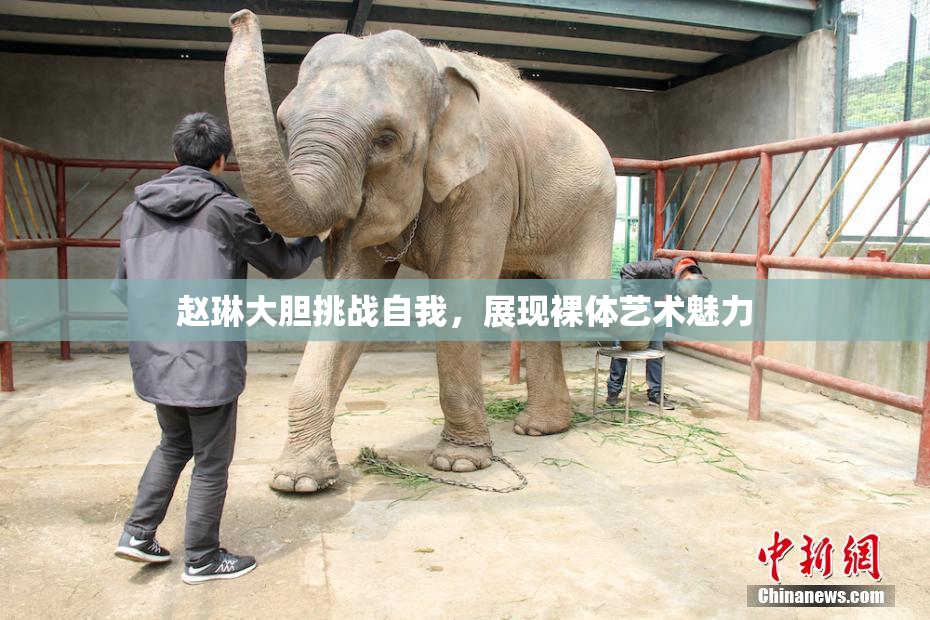 赵琳大胆挑战自我，展现裸体艺术魅力