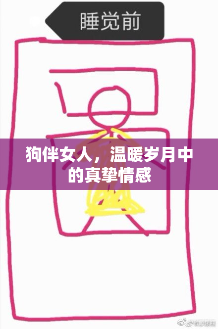 狗伴女人，温暖岁月中的真挚情感