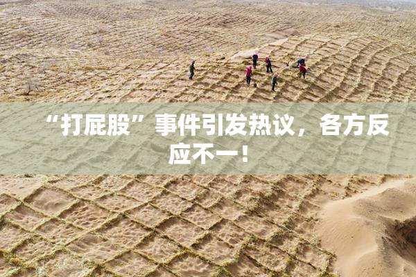 “打屁股”事件引发热议，各方反应不一！