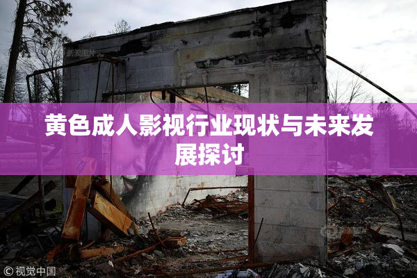 黄色成人影视行业现状与未来发展探讨