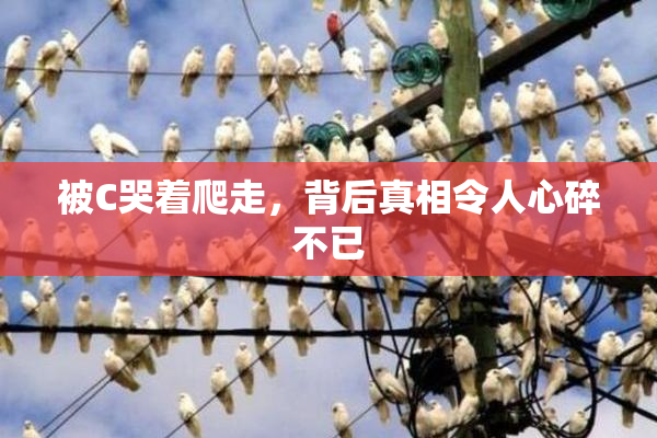 被C哭着爬走，背后真相令人心碎不已