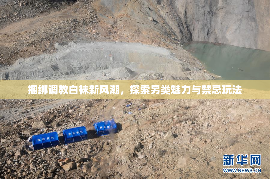 捆绑调教白袜新风潮，探索另类魅力与禁忌玩法