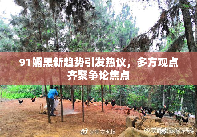 91媚黑新趋势引发热议，多方观点齐聚争论焦点