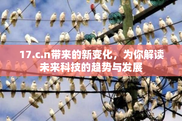 17.c.n带来的新变化，为你解读未来科技的趋势与发展