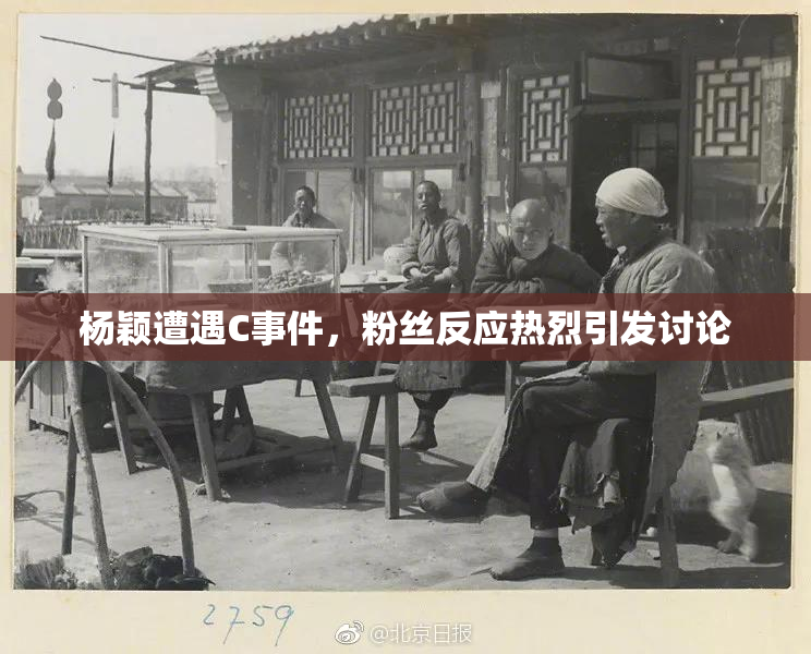 杨颖遭遇C事件，粉丝反应热烈引发讨论