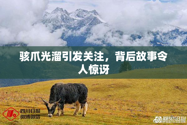 骇爪光溜引发关注，背后故事令人惊讶