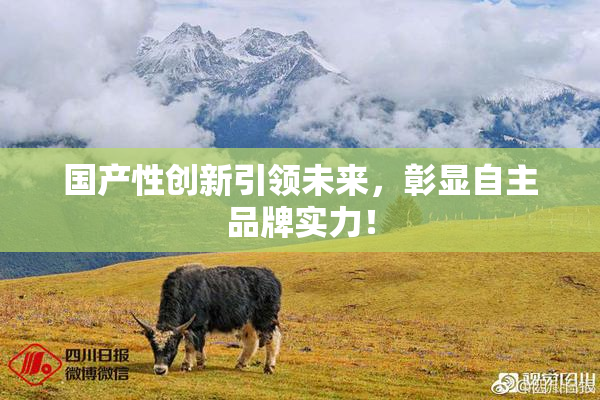 国产性创新引领未来，彰显自主品牌实力！