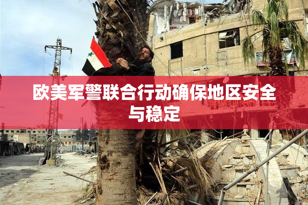 欧美军警联合行动确保地区安全与稳定