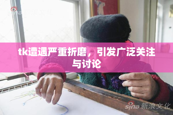 tk遭遇严重折磨，引发广泛关注与讨论