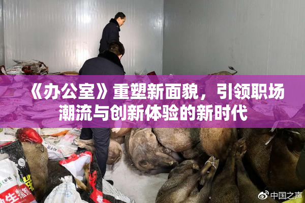 《办公室》重塑新面貌，引领职场潮流与创新体验的新时代