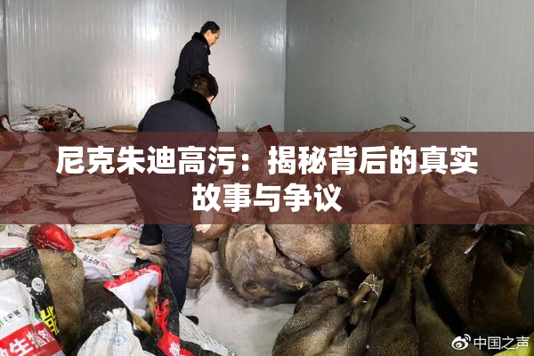 尼克朱迪高污：揭秘背后的真实故事与争议
