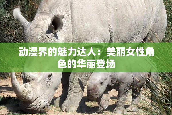 动漫界的魅力达人：美丽女性角色的华丽登场