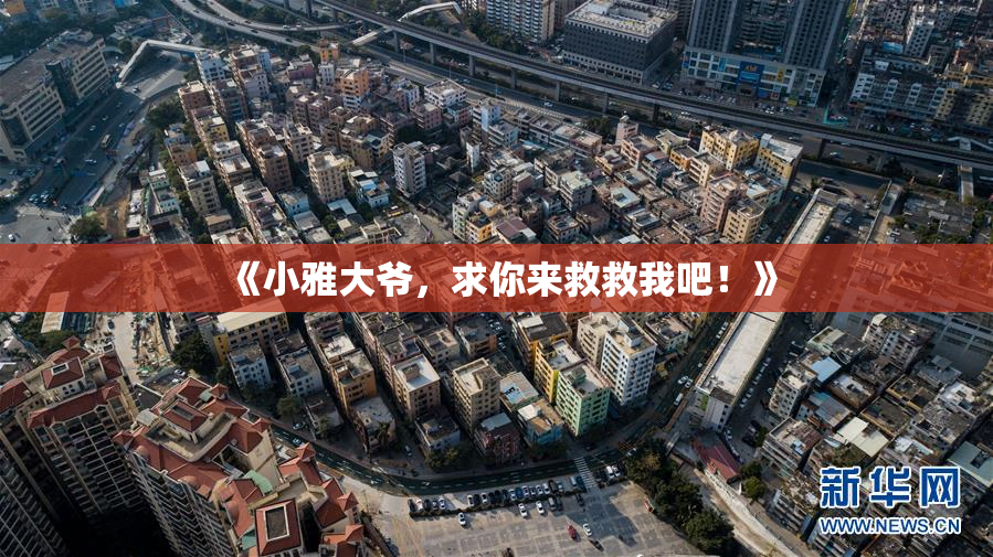 《小雅大爷，求你来救救我吧！》