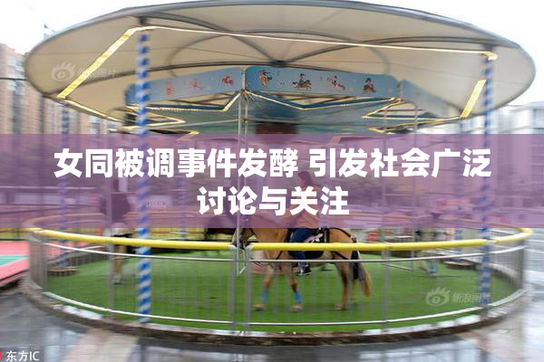 女同被调事件发酵 引发社会广泛讨论与关注