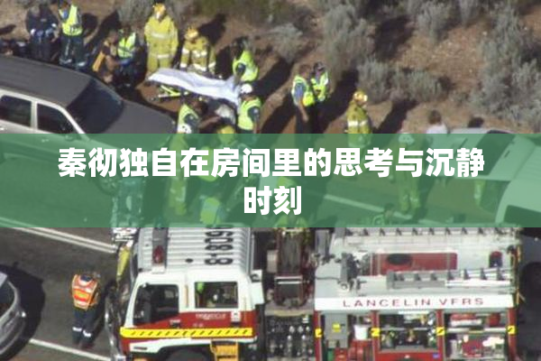 秦彻独自在房间里的思考与沉静时刻