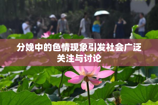 分娩中的色情现象引发社会广泛关注与讨论