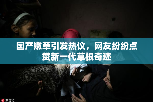 国产嫩草引发热议，网友纷纷点赞新一代草根奇迹