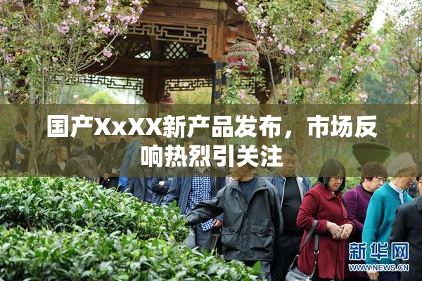 国产XxXX新产品发布，市场反响热烈引关注