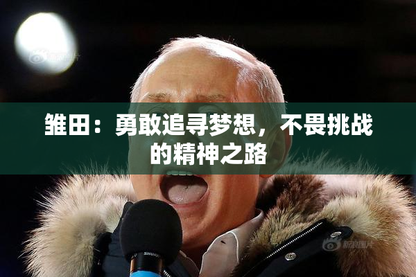 雏田：勇敢追寻梦想，不畏挑战的精神之路
