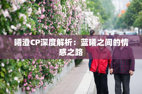 曦澄CP深度解析：蓝曦之间的情感之路