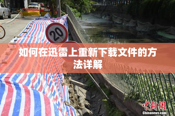 如何在迅雷上重新下载文件的方法详解