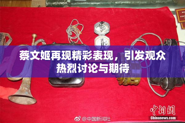 蔡文姬再现精彩表现，引发观众热烈讨论与期待