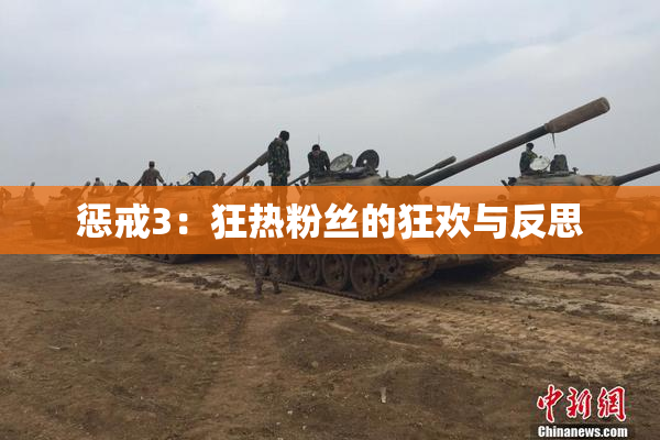 惩戒3：狂热粉丝的狂欢与反思