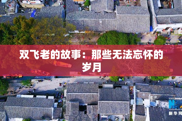 双飞老的故事：那些无法忘怀的岁月