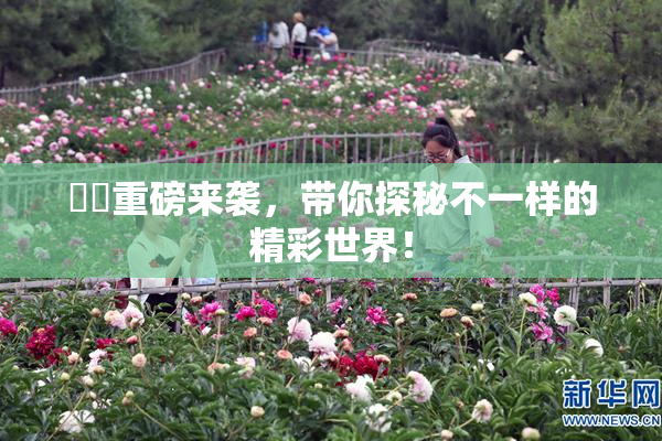 妺妺重磅来袭，带你探秘不一样的精彩世界！
