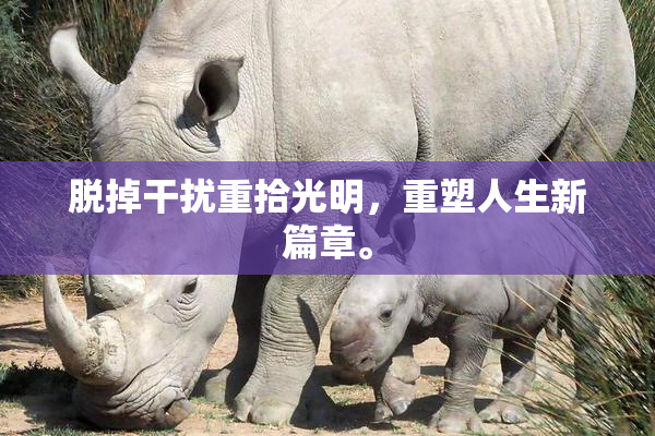 脱掉干扰重拾光明，重塑人生新篇章。