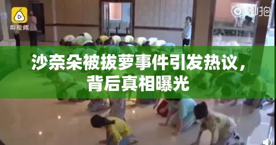 沙奈朵被拔萝事件引发热议，背后真相曝光
