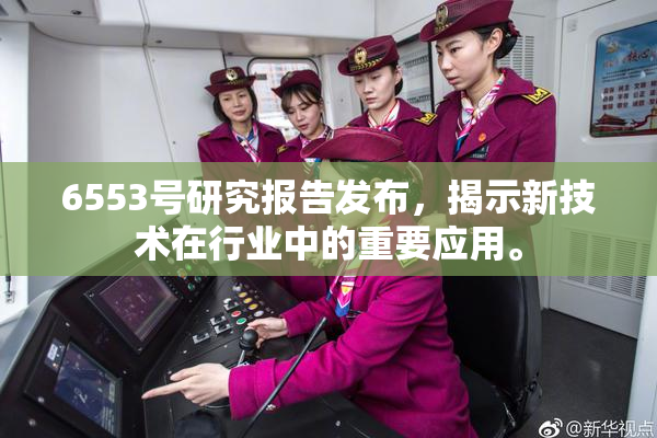 6553号研究报告发布，揭示新技术在行业中的重要应用。