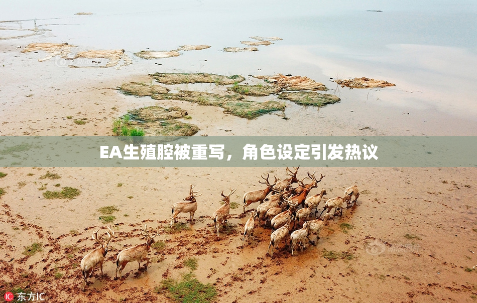 EA生殖腔被重写，角色设定引发热议
