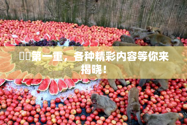 妺妺第一重，各种精彩内容等你来揭晓！