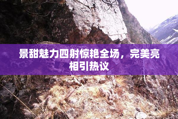 景甜魅力四射惊艳全场，完美亮相引热议